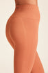 Alala | Flow Seamless Tights in Terracotta